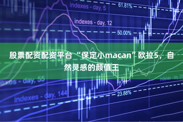 股票配资配资平台 “保定小macan”欧拉5，自然灵感的颜值王