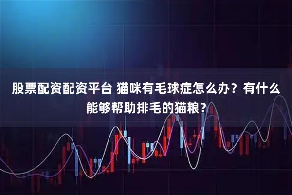 股票配资配资平台 猫咪有毛球症怎么办？有什么能够帮助排毛的猫粮？