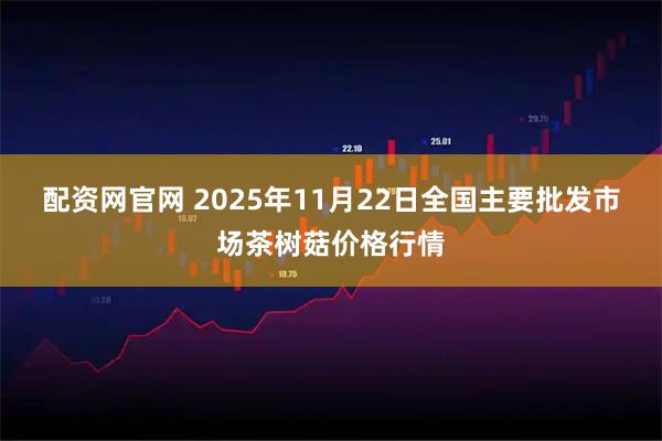 配资网官网 2025年11月22日全国主要批发市场茶树菇价格行情