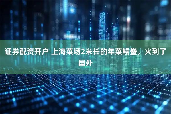 证券配资开户 上海菜场2米长的年菜鳗鲞，火到了国外