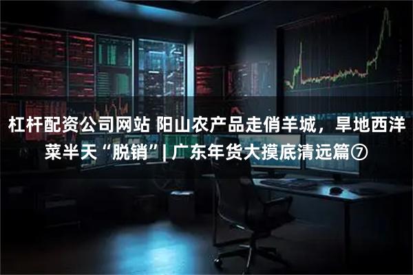 杠杆配资公司网站 阳山农产品走俏羊城，旱地西洋菜半天“脱销”| 广东年货大摸底清远篇⑦