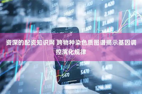 资深的配资知识网 跨物种染色质图谱揭示基因调控演化规律